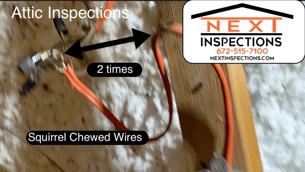 Home inspector discovers wires chewed in the attic space